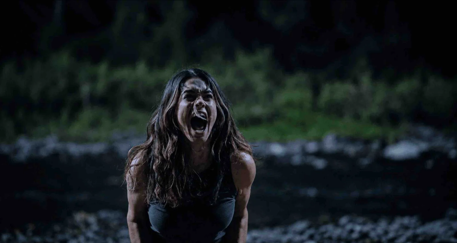 „Don't Move“: Erster Trailer zum Riesenspinnen-Horror von Impractical-Jokers-Star James Murray