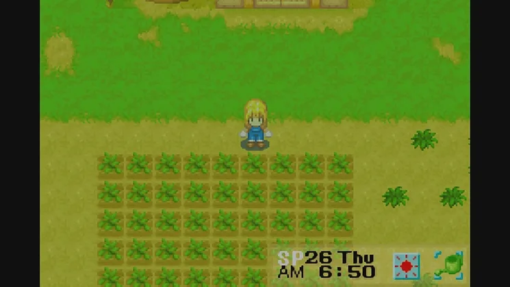 Harvest Moon: MORE friends of Mineral Town