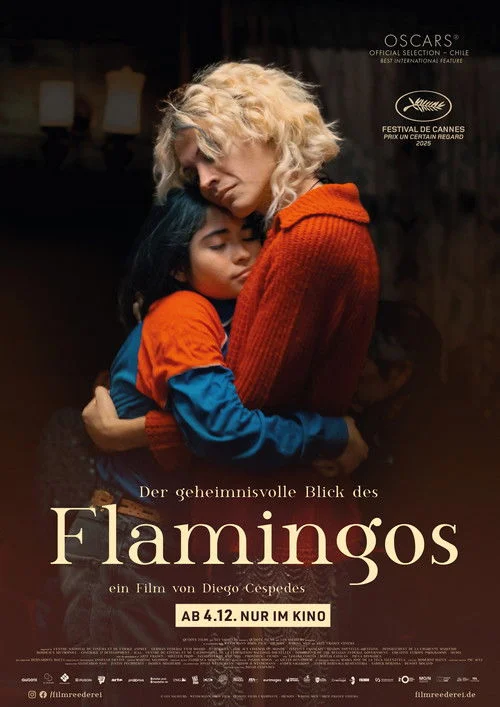 Der geheimnisvolle Blick des Flamingos