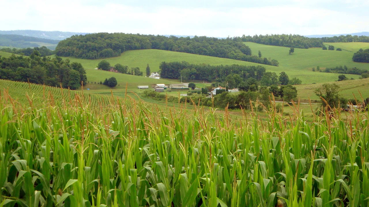 Monsanto - Mit Gift und Genen