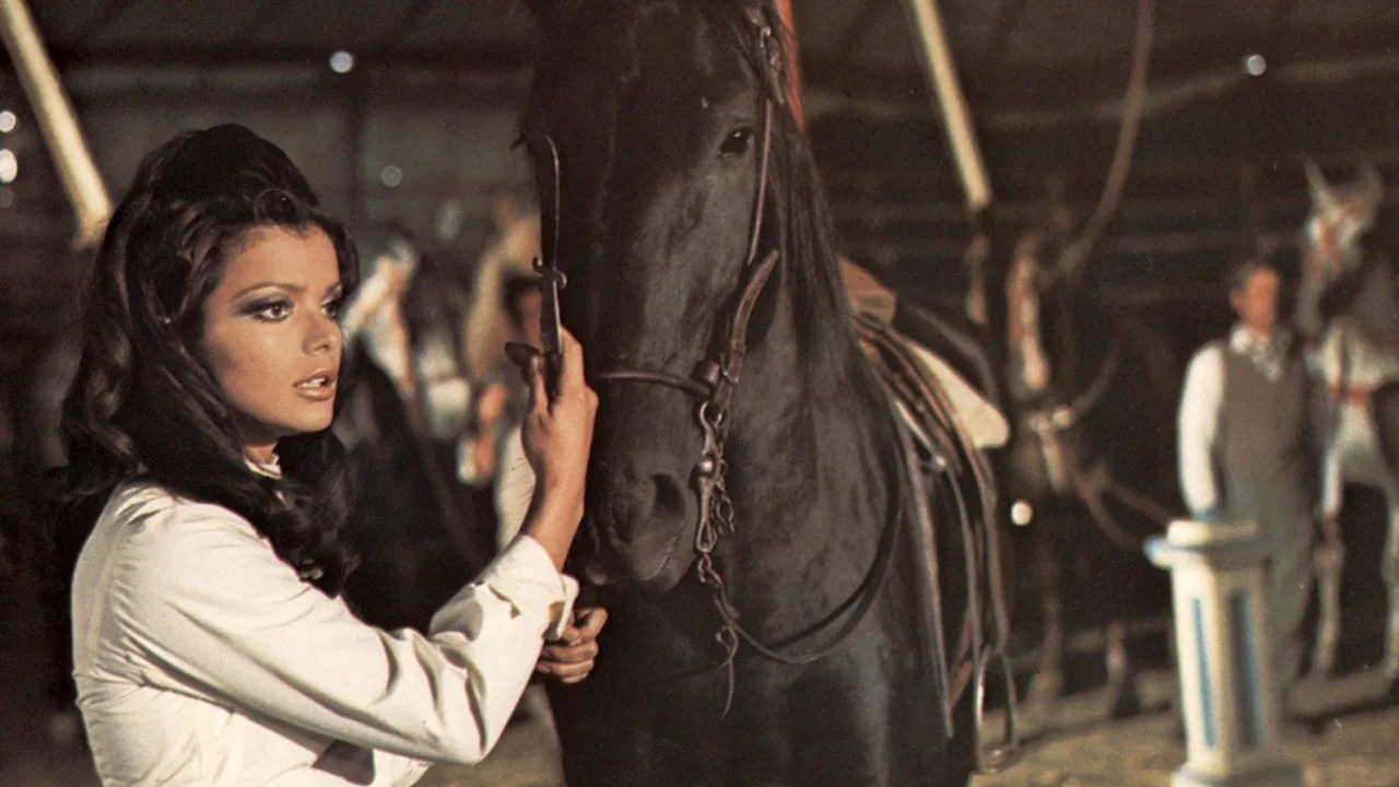 Black Beauty