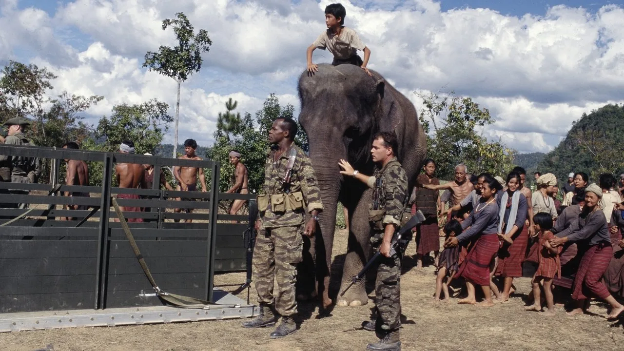 Operation Dumbo