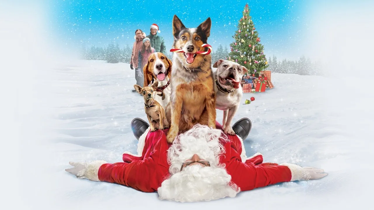 Hunde - Allein zu Haus