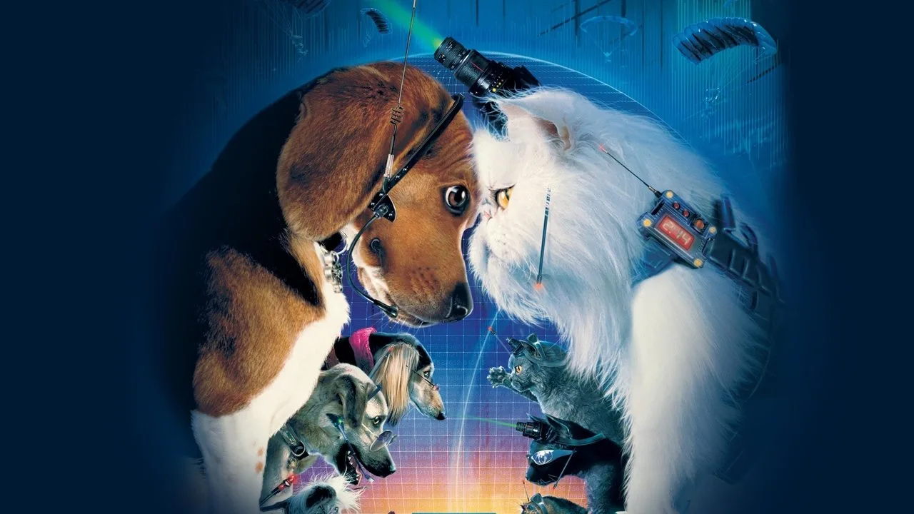 Cats & Dogs - Wie Hund und Katz