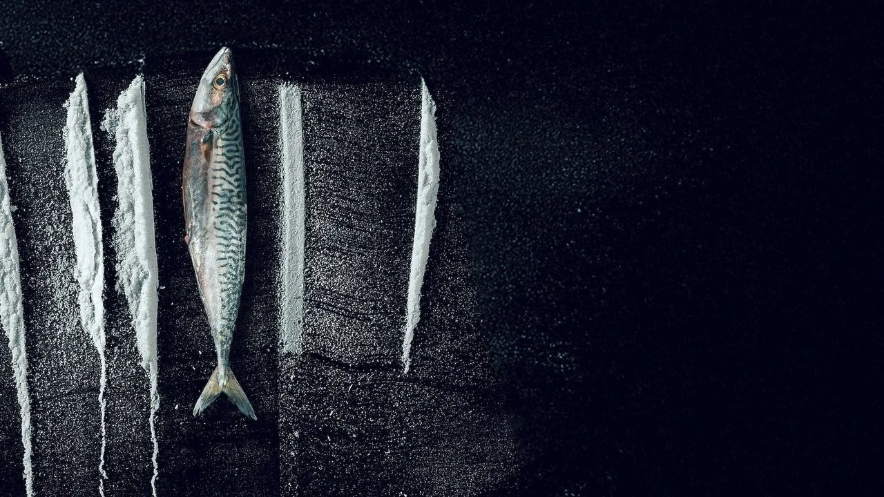 Weißes Meer: Die surreale Story von Rabo de Peixe