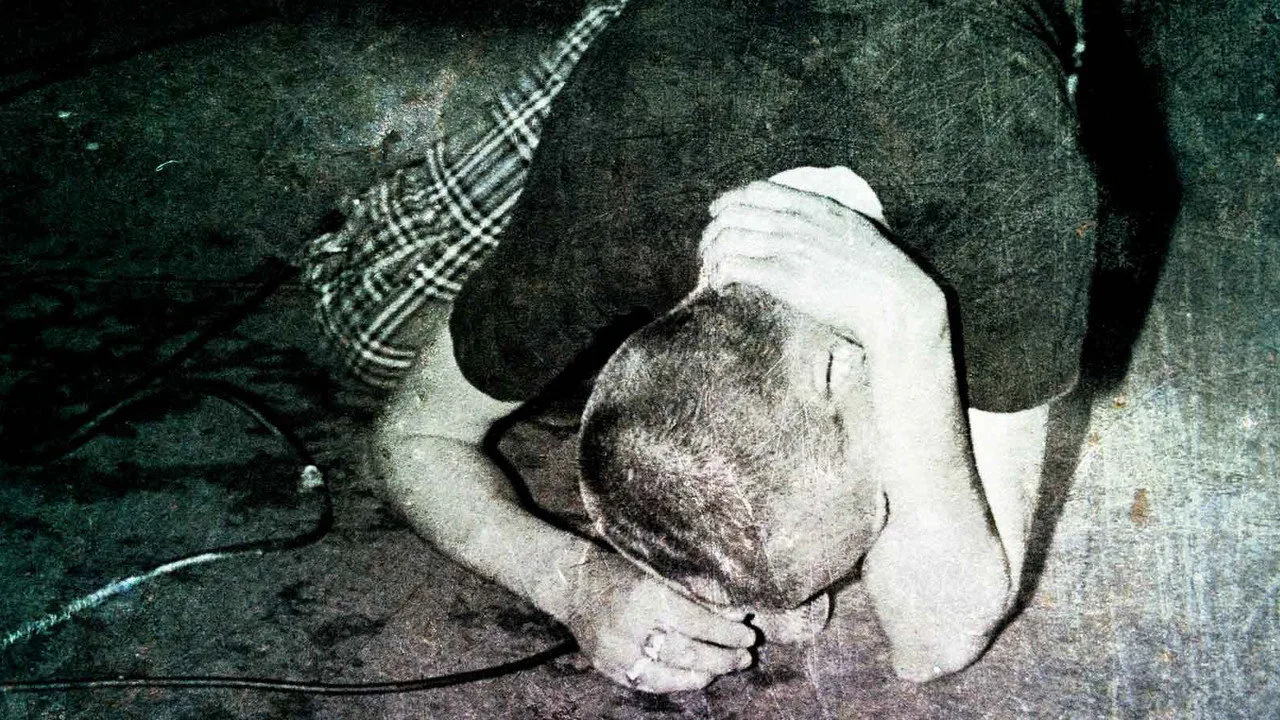 Salad Days
