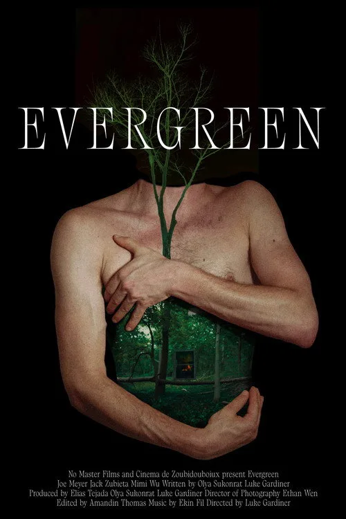 Evergreen