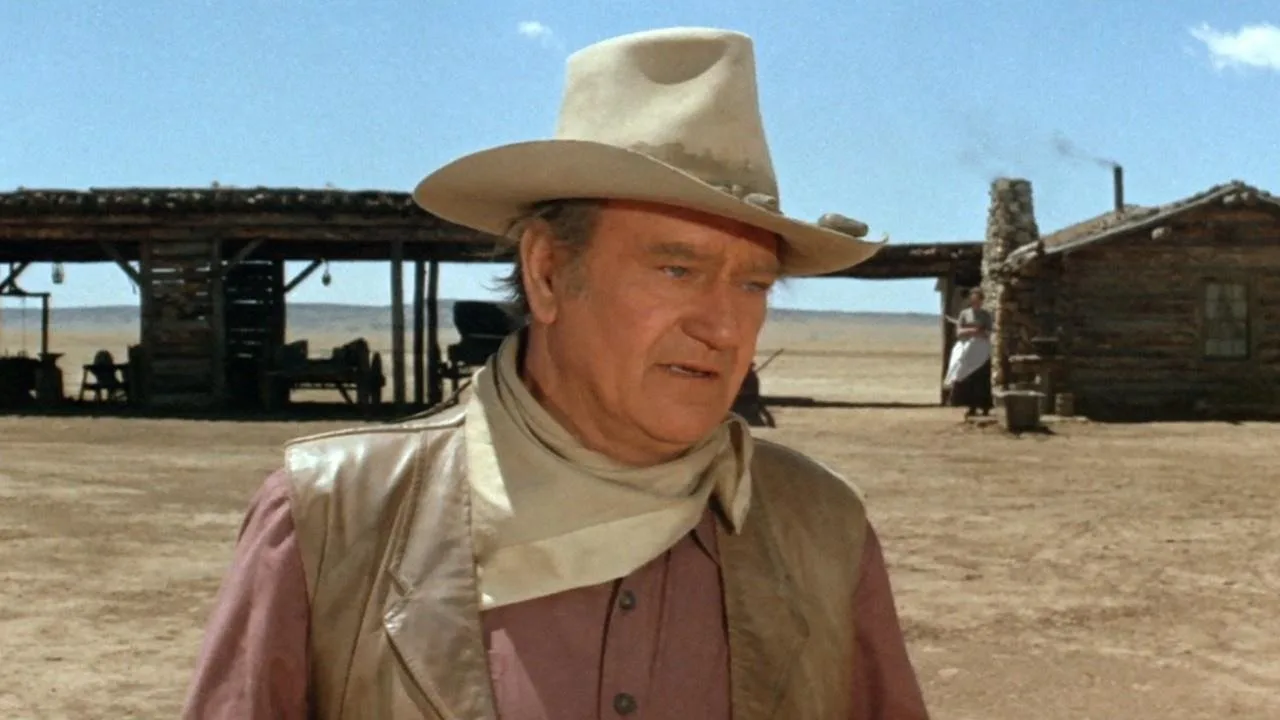 Die Cowboys