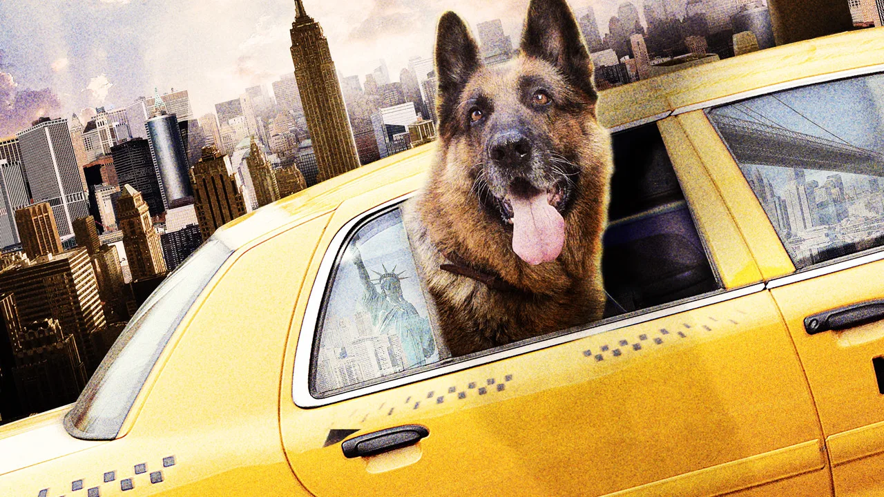 Tierisch Cool - Ein Hund in New York