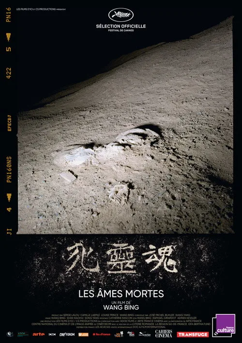 Die Seelen der Toten - Mingshui