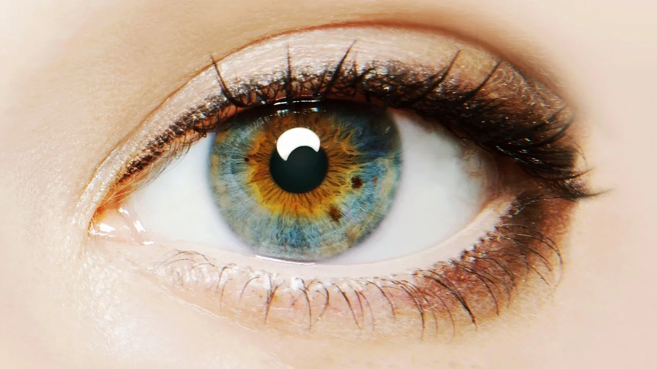 I Origins - Im Auge des Ursprungs