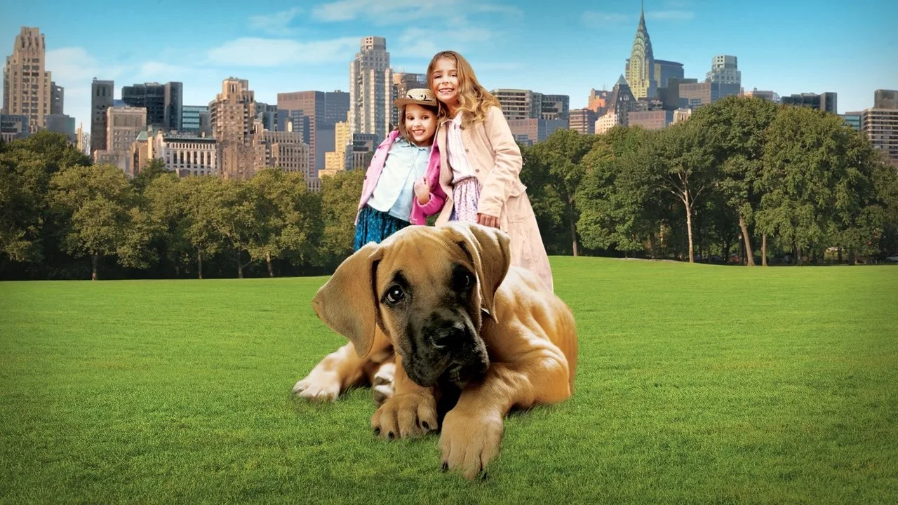 Chestnut - Der Held vom Central Park