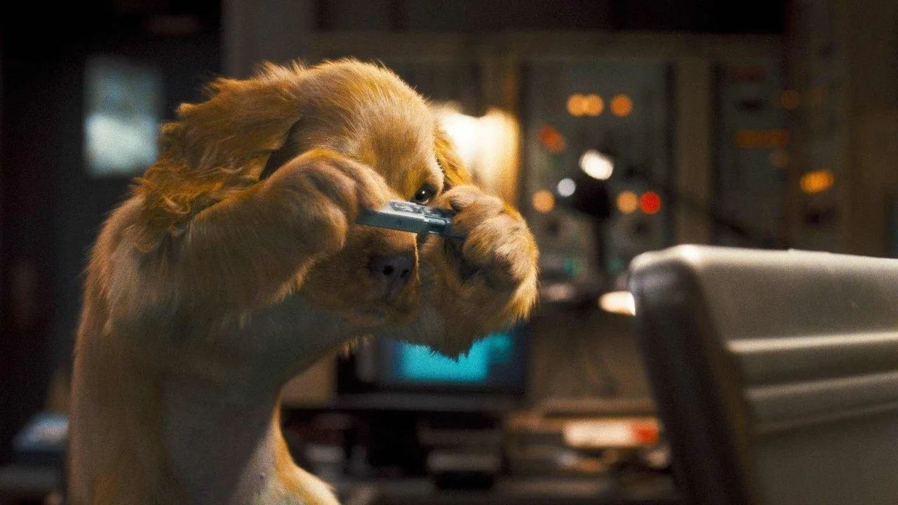 Cats & Dogs - Die Rache der Kitty Kahlohr