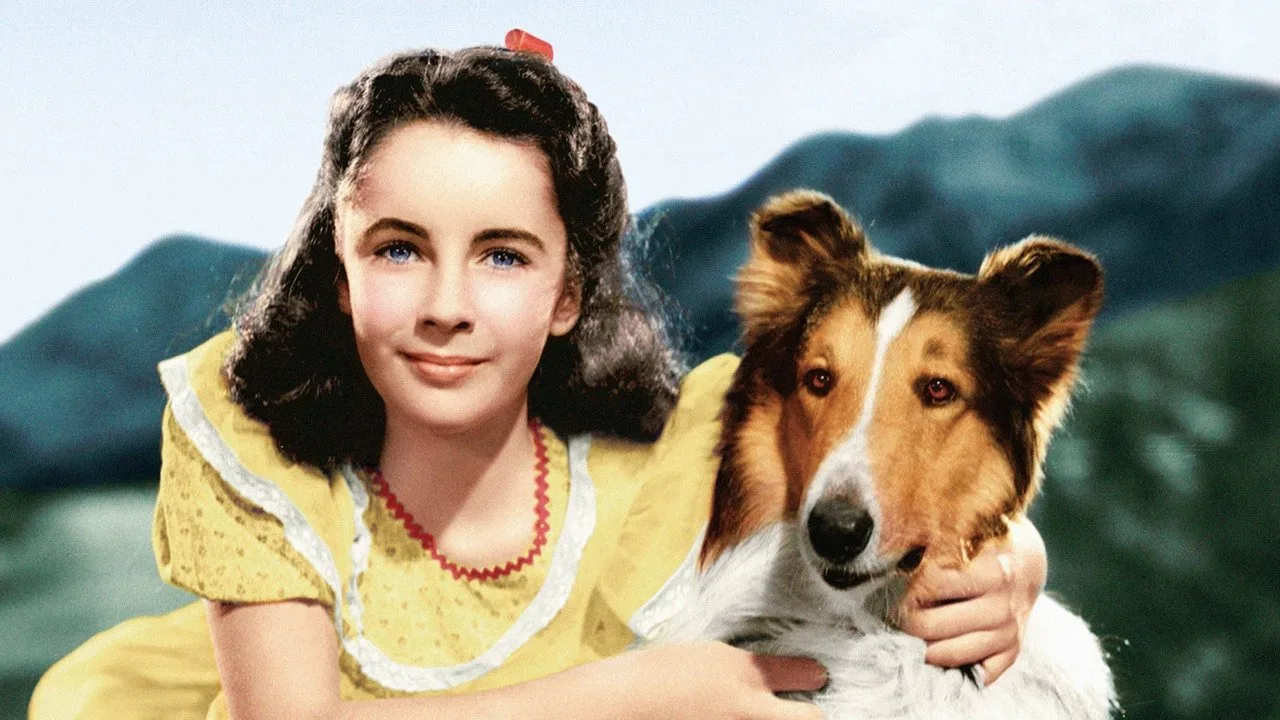 Lassie - Held auf vier Pfoten