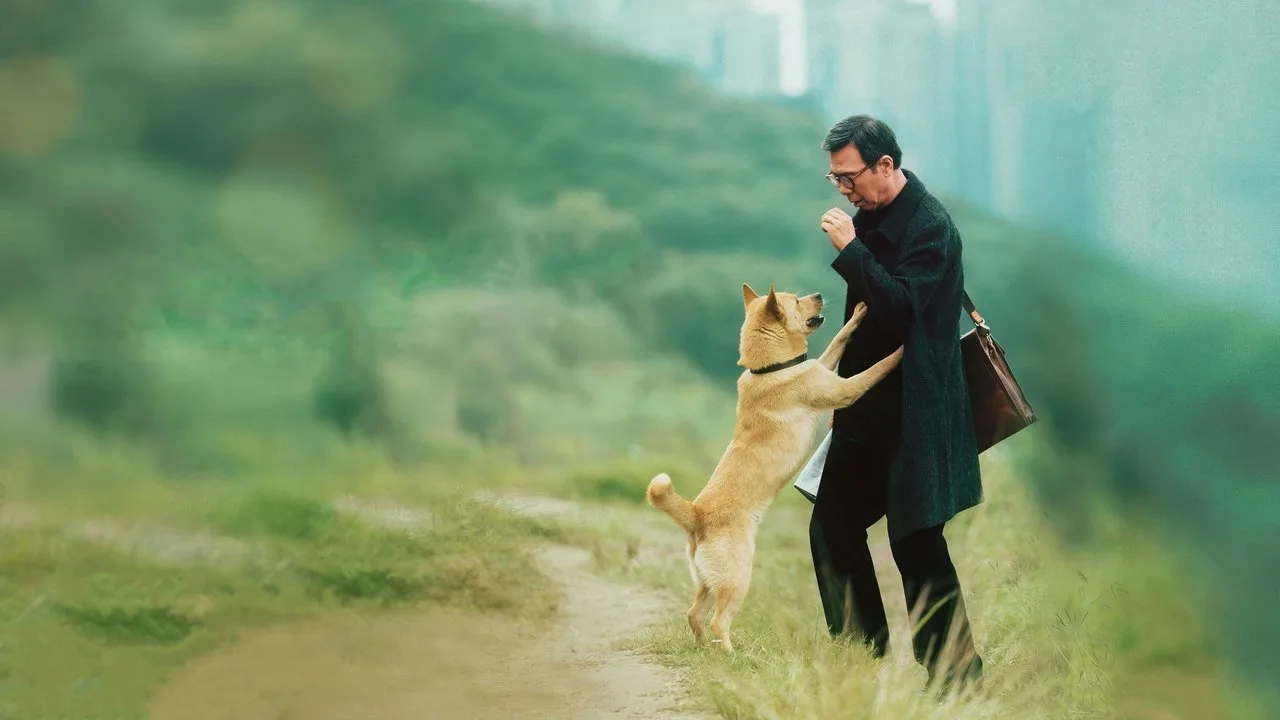 Hachiko - Eine Freundschaft für die Ewigkeit