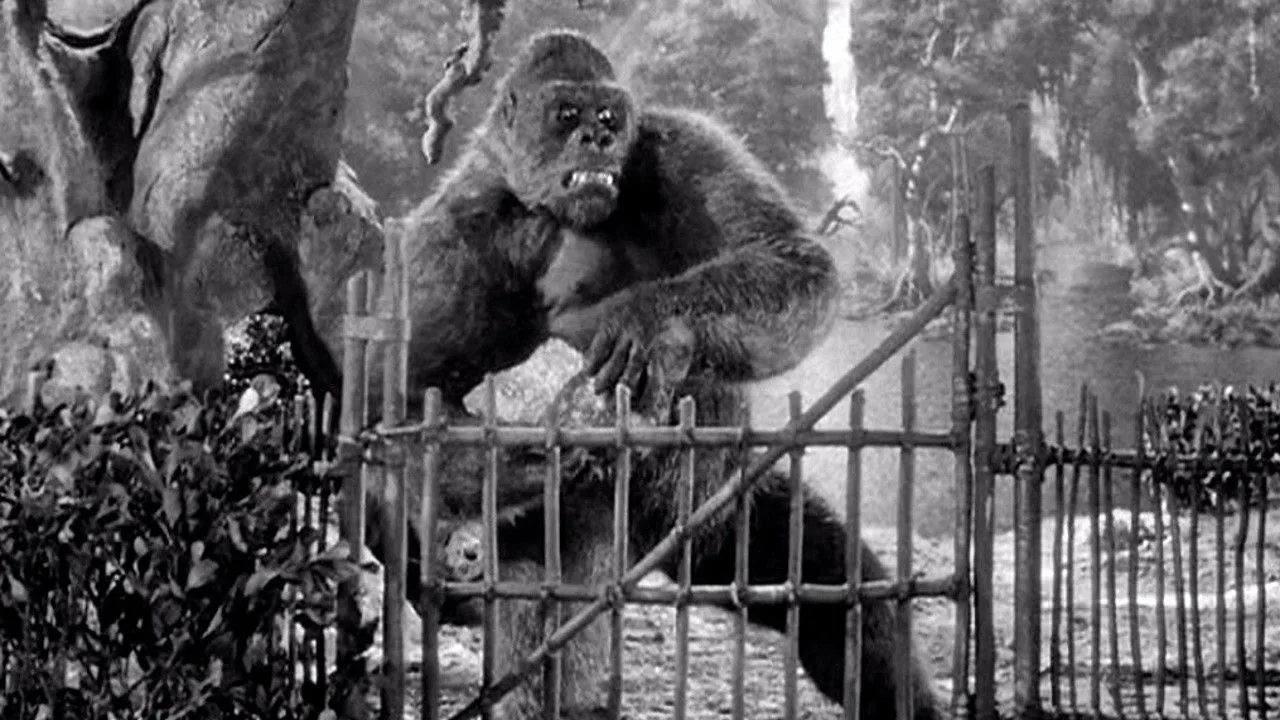 Panik um King Kong