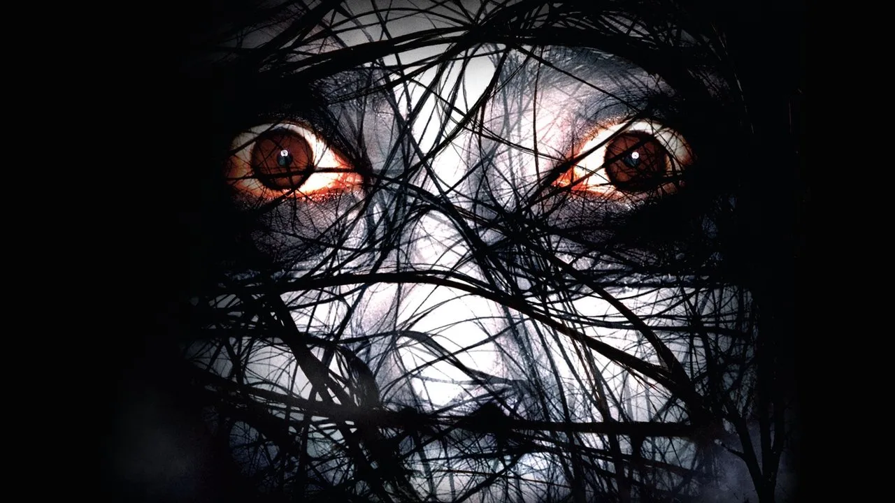 Der Fluch - The Grudge 2
