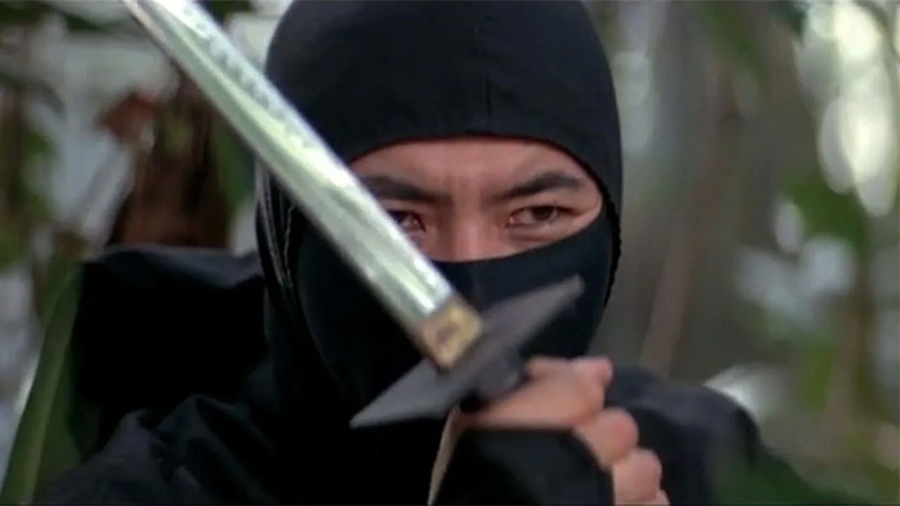 Die 1000 Augen der Ninja