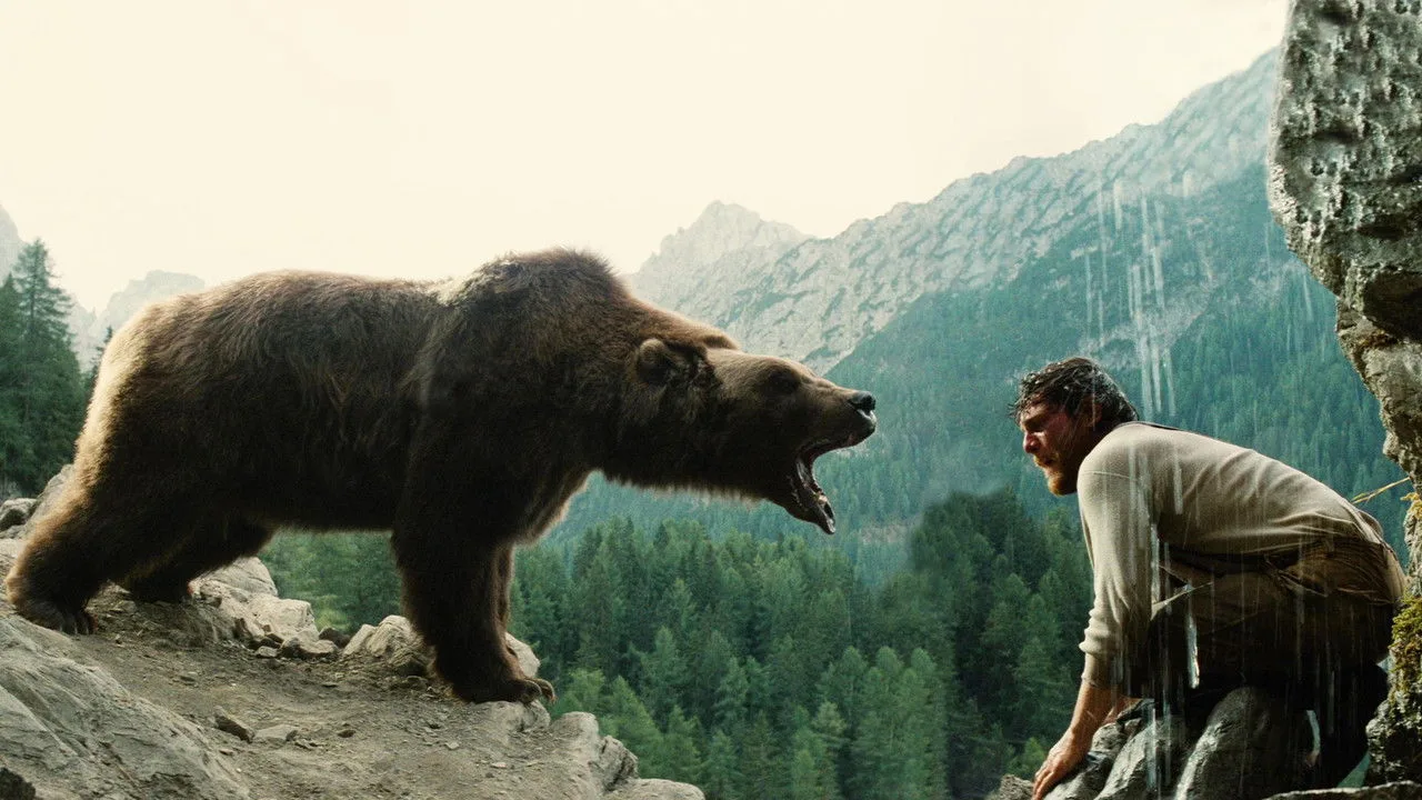 Der Bär