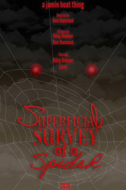 Superficial Survey of a Spider