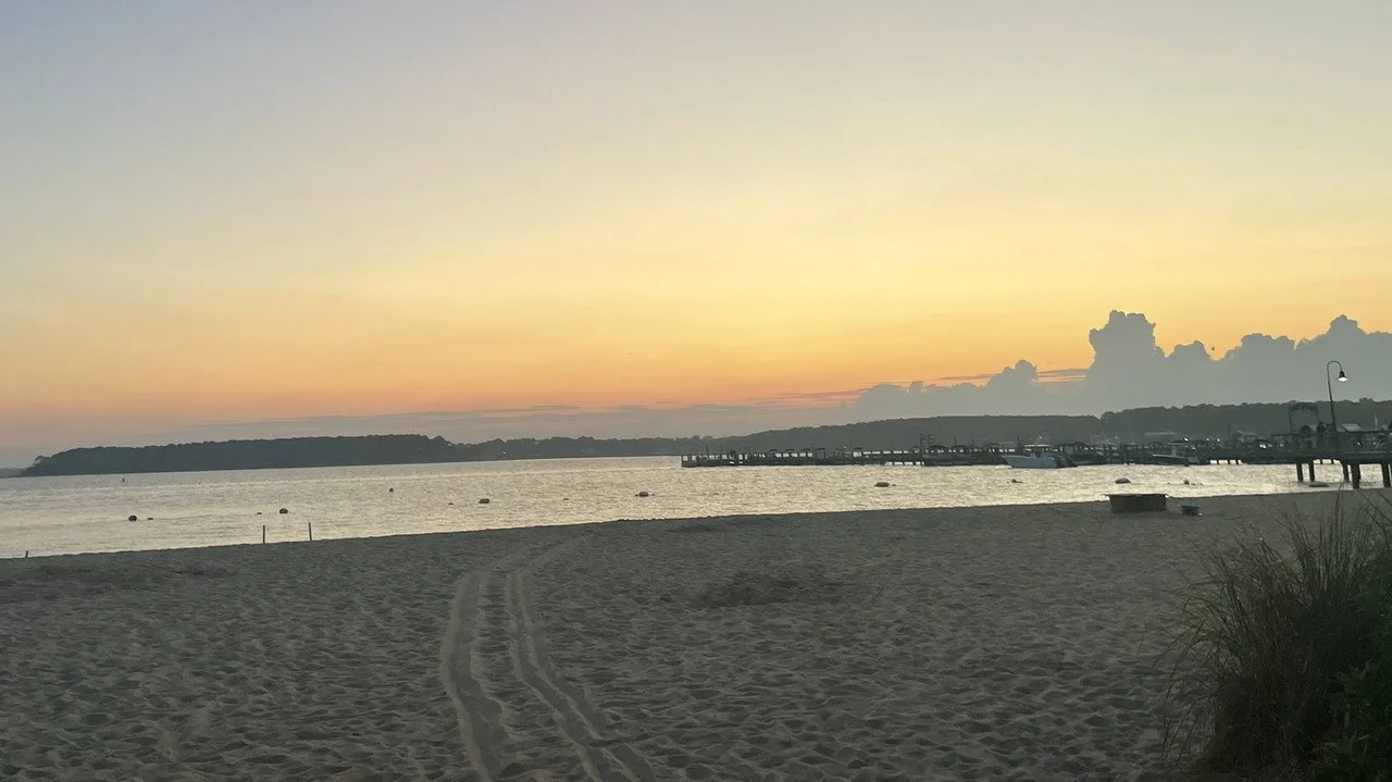Zombies on The Beach