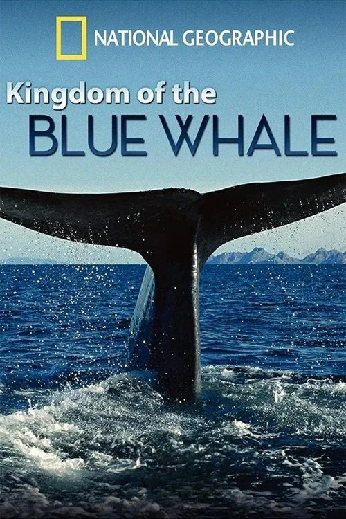 Im Reich des Blauwals
