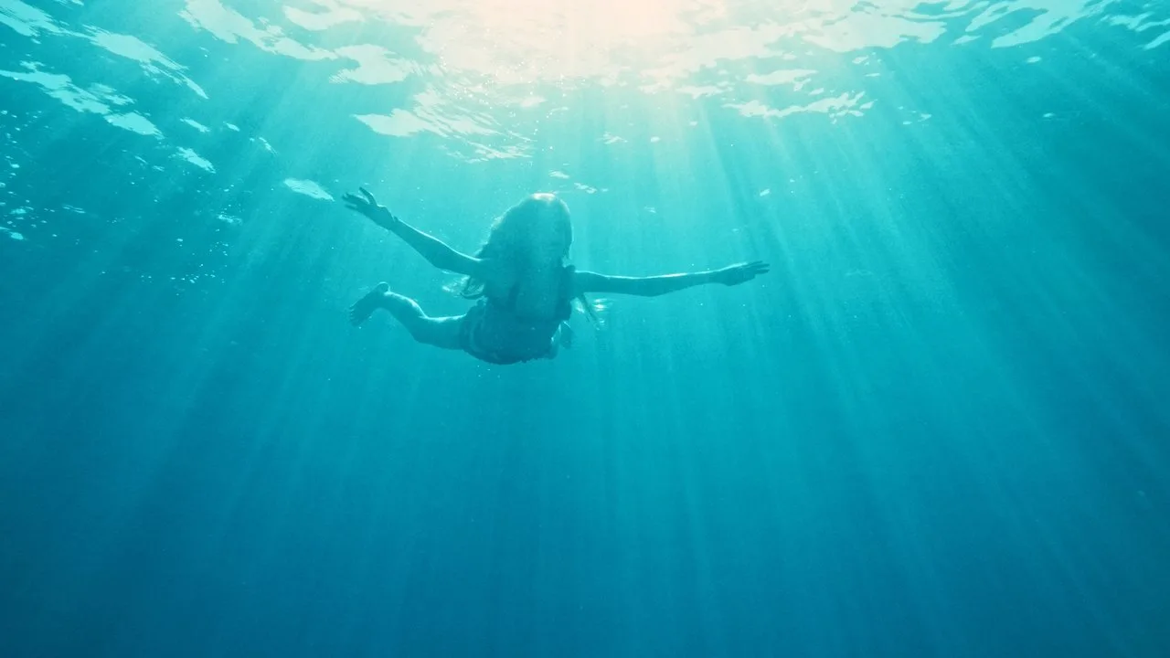 Der Sommer, als ich fliegen lernte