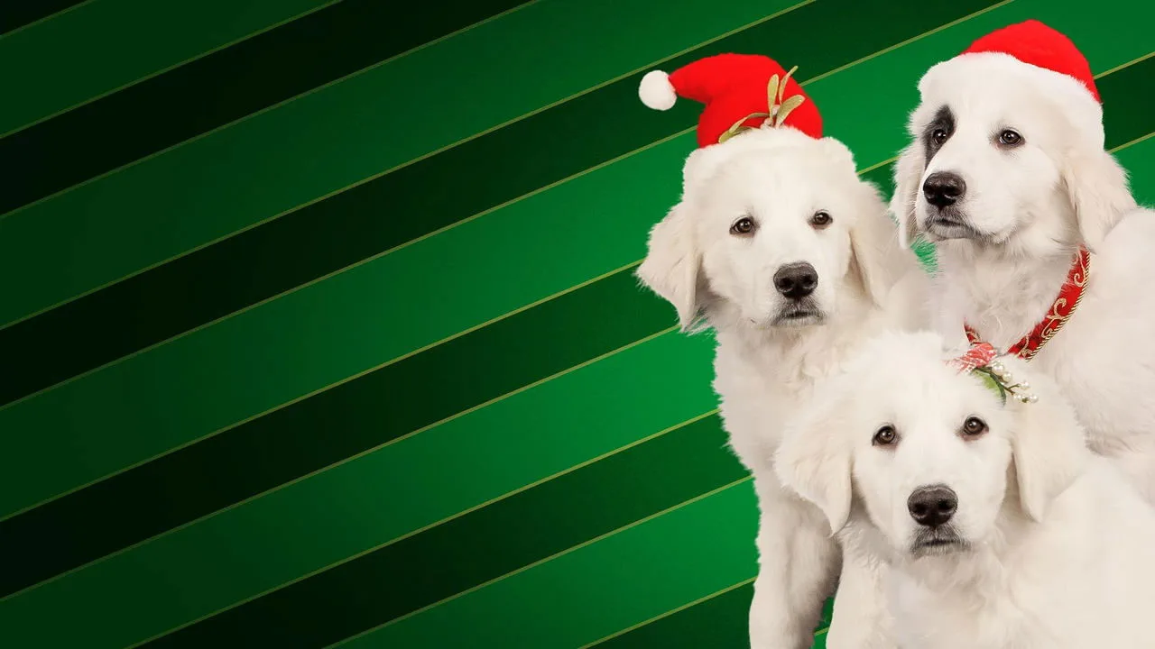 Santa Buddies - Auf der Suche nach Santa Pfote