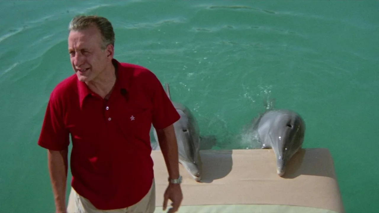 Der Tag des Delphins