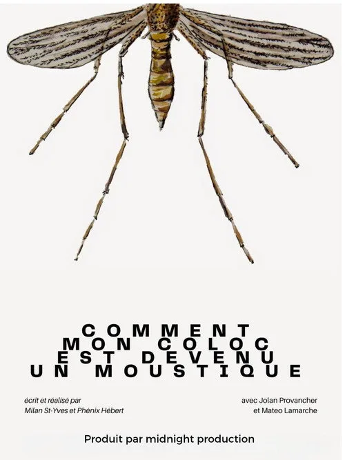 Comment mon coloc est devenu un moustique
