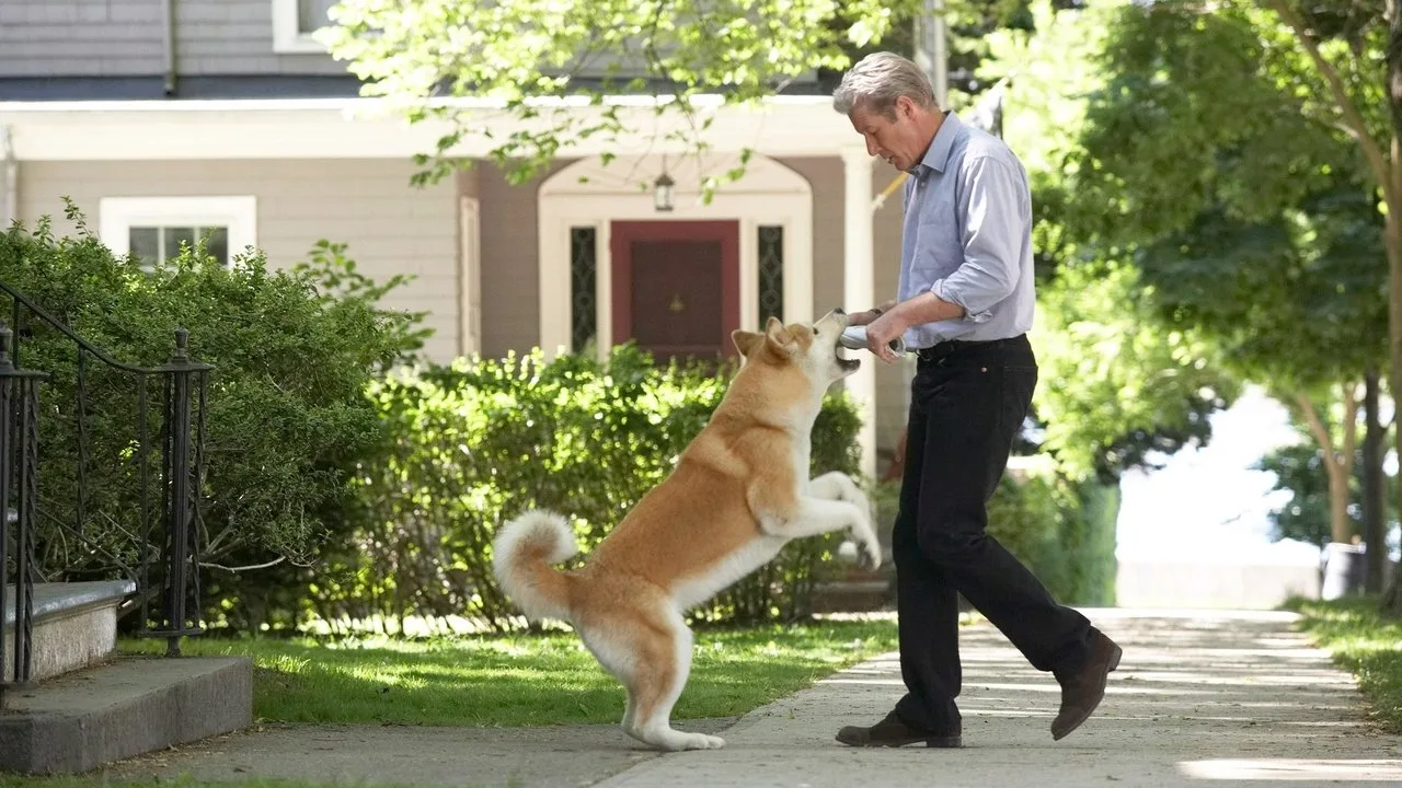 Hachiko - Eine wunderbare Freundschaft