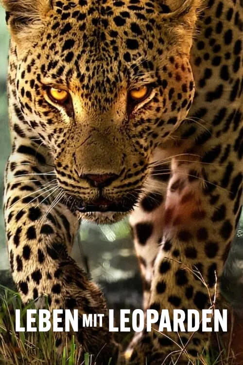 Leben mit Leoparden