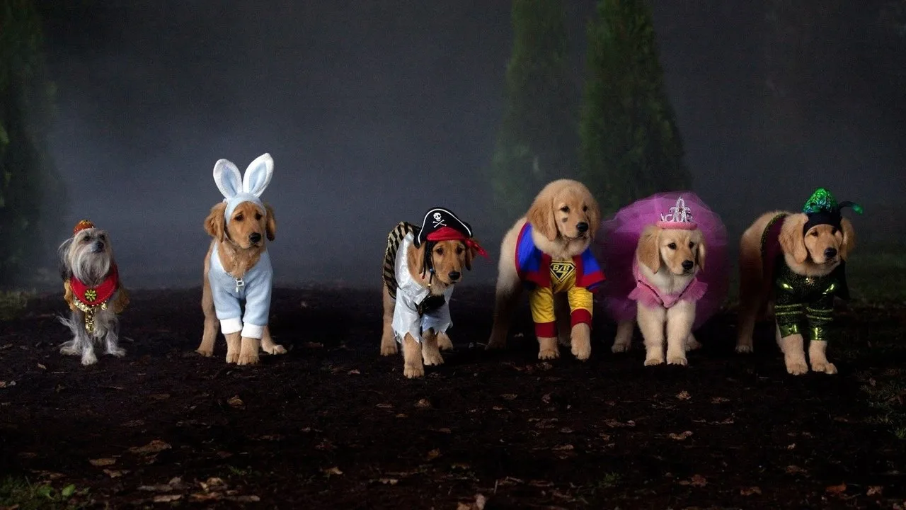Spooky Buddies - Der Fluch des Hallowuff-Hunds