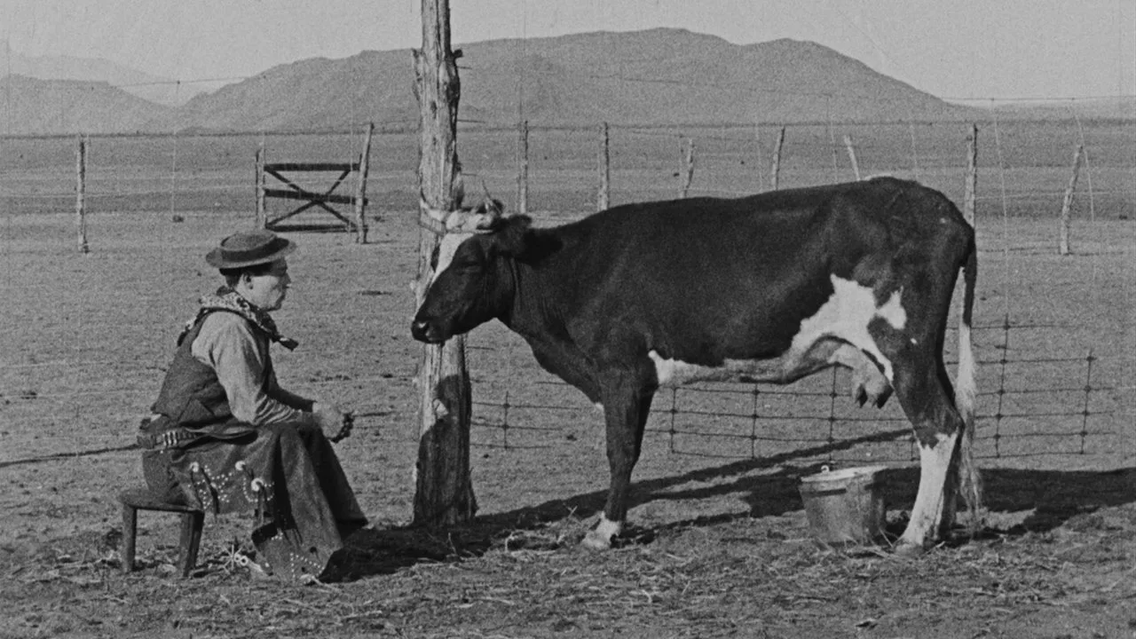 Der Cowboy