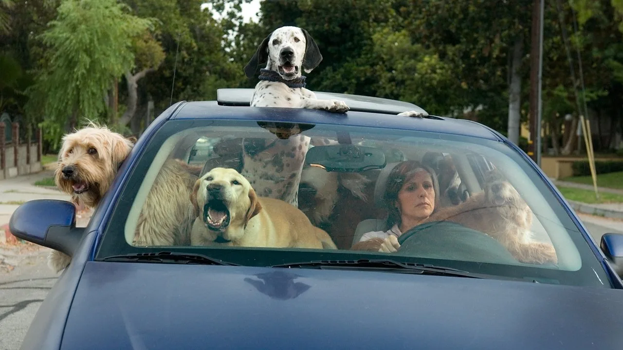 Das Jahr des Hundes