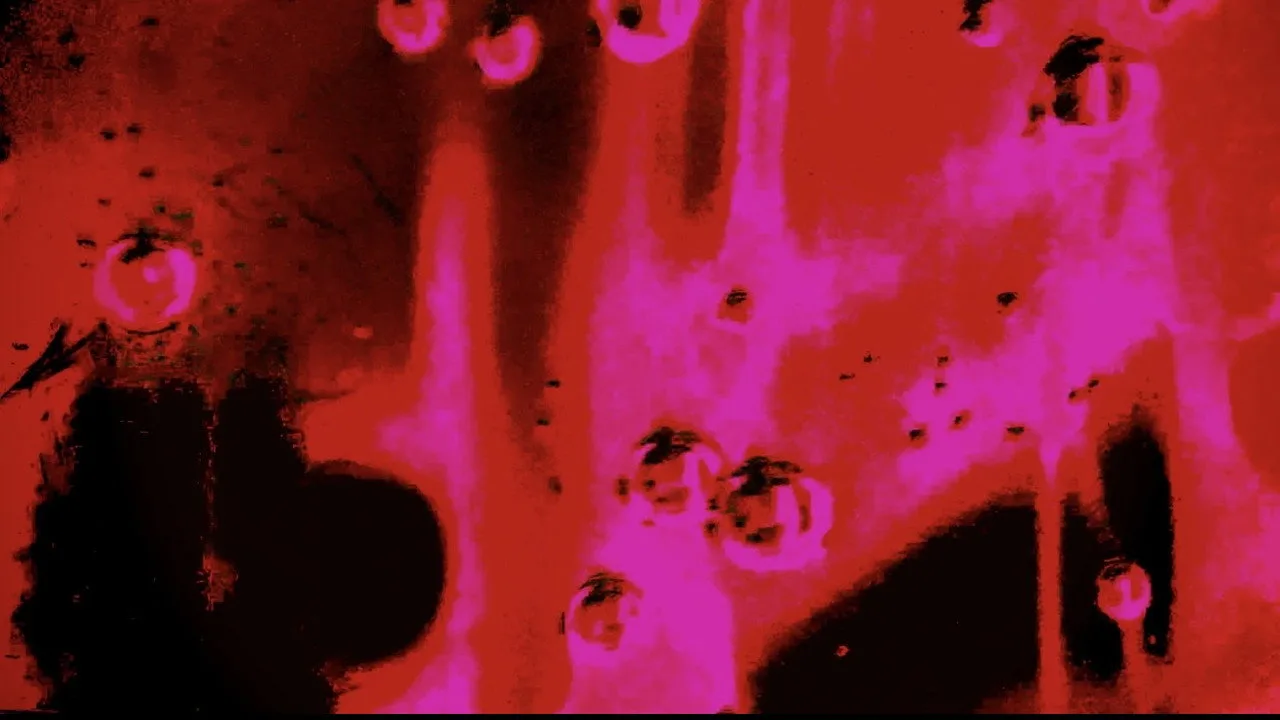 DOOM
